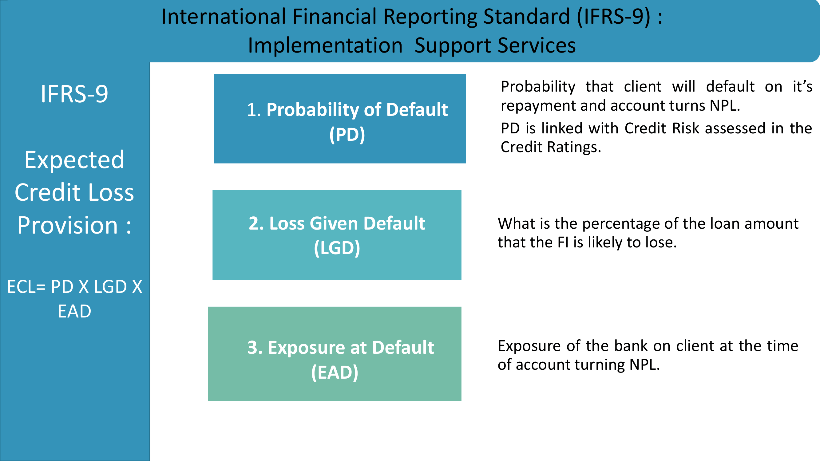 IFRS-9 Implementation Support Service